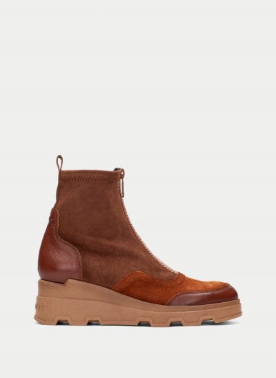 Hispanitas Botín Florencia Cuero