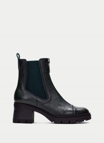 Hispanitas Botín Everest Forest